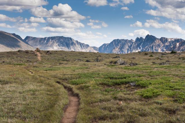 Cathedral Rim Trail