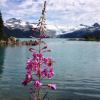 Garibaldi Lake