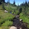 Panorama ridge Trail