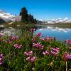 Elfin Lakes