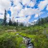 Brandywine Meadow