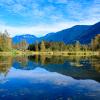 Cheam Lake Wetlands