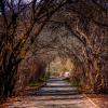 Shoreline Trail