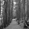 Rolley Lake Provincial Park