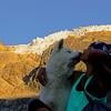 Joffre Lakes Glacier Trail