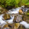 Mt McKirdy Trail