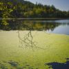 Killarney Lake