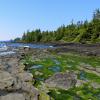 Juan de Fuca Marine Trail