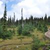 Garibaldi Lake Trail