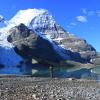 Berg Lake Trail