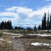 Black Tusk Trail