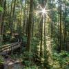 Quarry Rock Trail