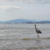 Stanley Park Seawall