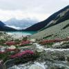 Joffre Lakes