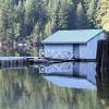 Buntzen Lake Trails