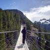 Sky Pilot Suspension Bridge / Spirit Trail