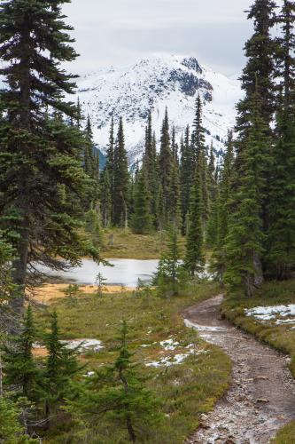 Garibaldi Lake