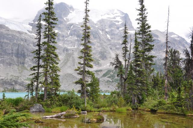 Upper Joffre Lake