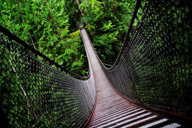 Lynn Canyon Trail