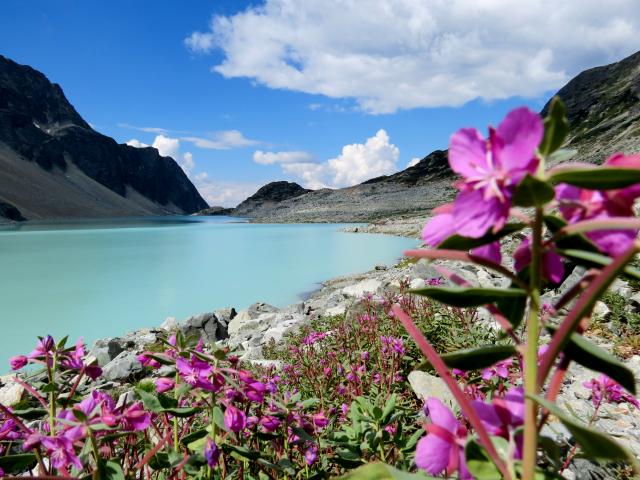 Wedgemount Lake