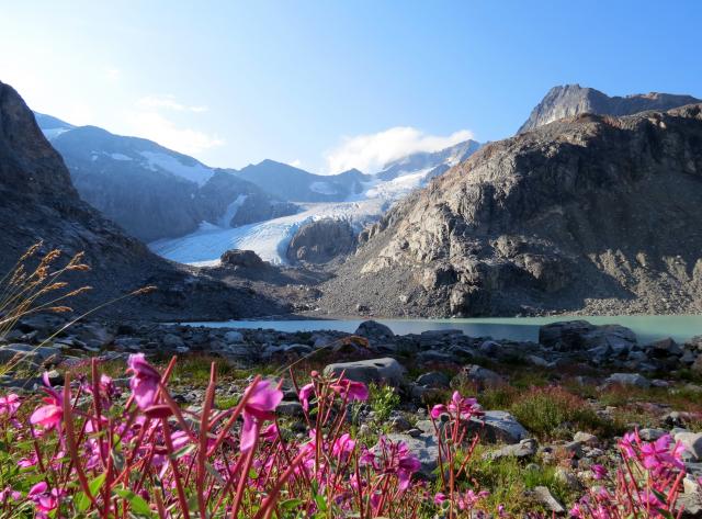 Wedgemount Lake