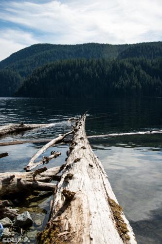 Buntzen Lake Trail