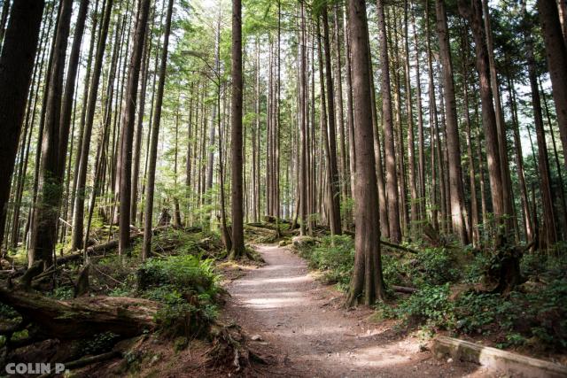 Buntzen Lake Trail