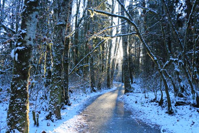 Serpentine Loop Trail