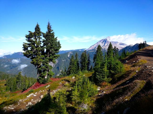 Elfin Lakes Trail