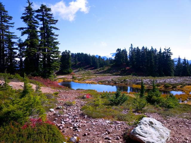 Elfin Lakes Trail