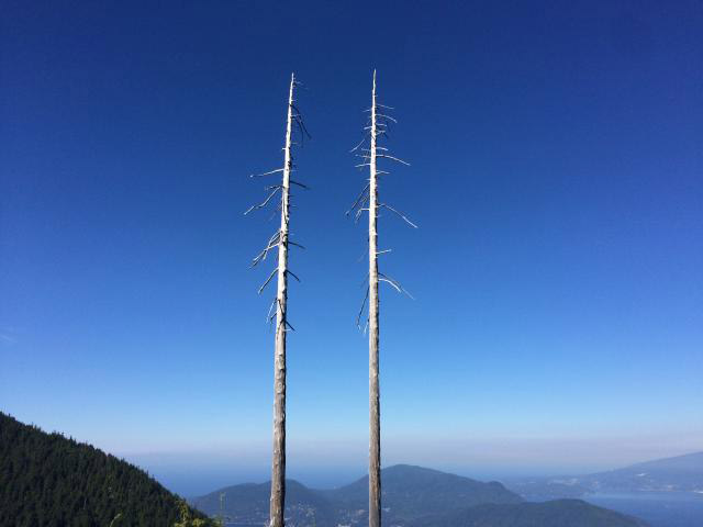 St. Mark's Summit