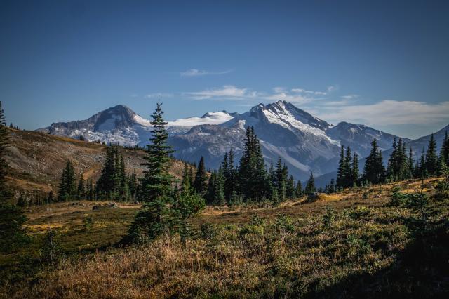 Trail To Russet Lake Via High Note Trail