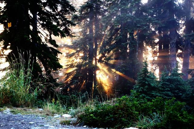 Grouse Grind