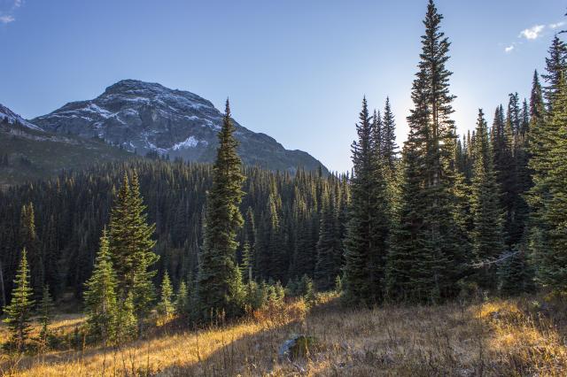 Tenquille Lake Trail