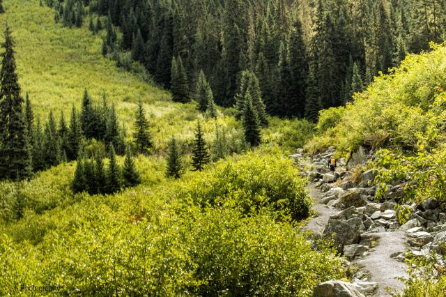 Joffre Lake