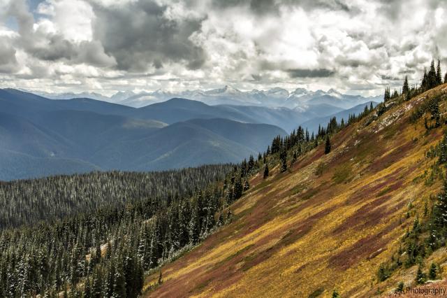 Heather Trail