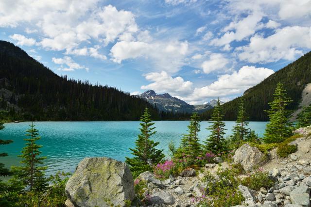 Joffre Lake Trail