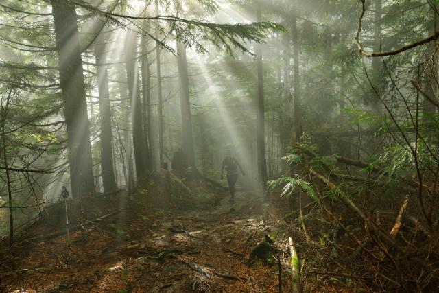 Lynn Peak Trail