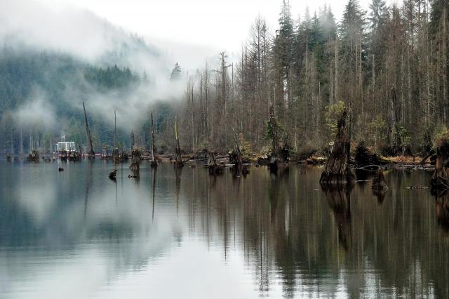 Buntzen Lake