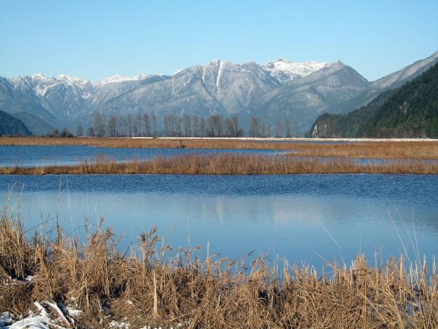 Pitt-Addington Marsh