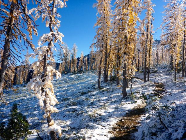 Frosty Mountain Trail