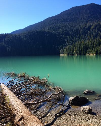 Cheakamus Lake