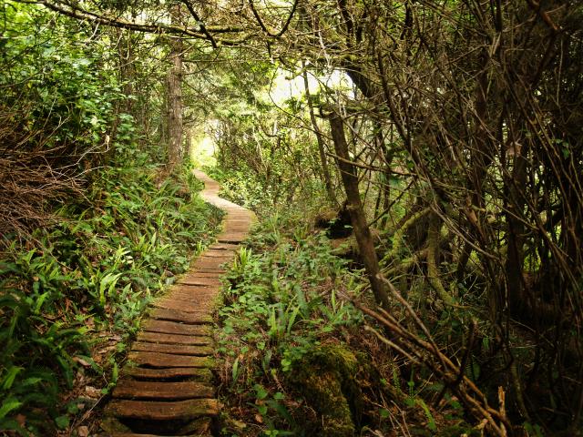 West Coast Trail