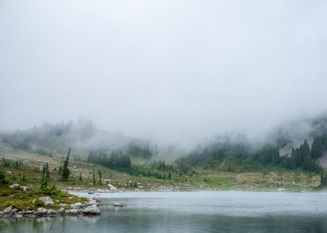 Brew Lake Trail