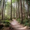 Buntzen Lake Trail