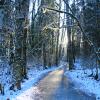 Serpentine Loop Trail