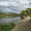 Lost Lagoon