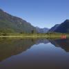 Widgeon Falls