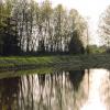 SERPENTINE FEN