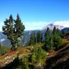 Elfin Lakes Trail